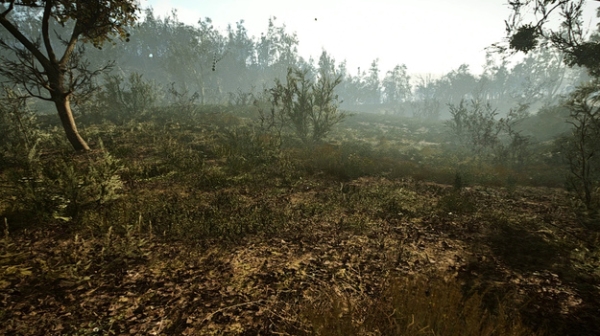 S.T.A.L.K.E.R. 2 как улучшить графику на средних и слабых видеокартах показали