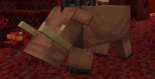 Будущий монстр Minecraft получил название — встречайте Hoglin Будущий монстр Minecraft получил название — встречайте Hoglin