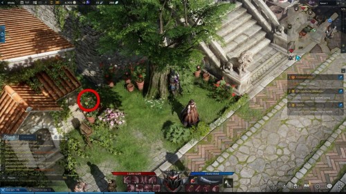 Lost Ark: cемена мококо на материке Артемис Lost Ark: cемена мококо на материке Артемис