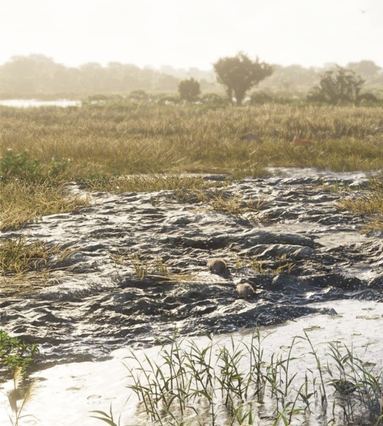 GTA 6 реальных бобров в игре показали GTA 6 реальных бобров в игре показали