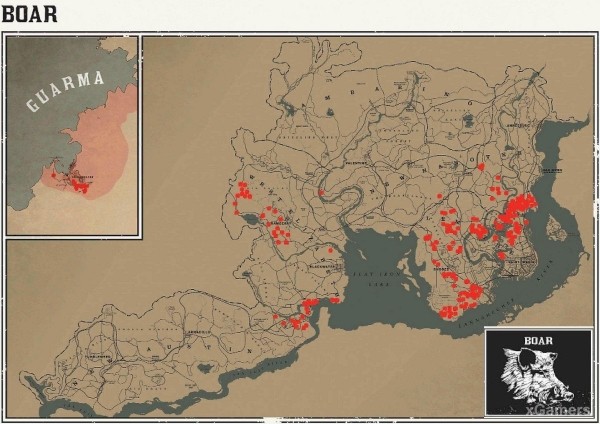 Red dead redemption 2 - животные. Карты с местами обитания Red dead redemption 2 - животные. Карты с местами обитания