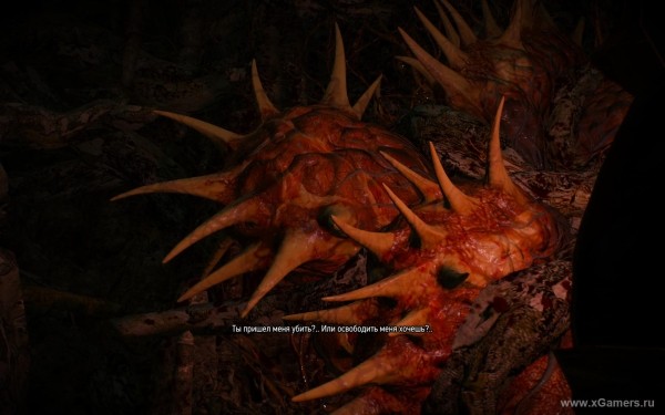 Квест "Шепчущий холм" в игре Ведьмак 3 - варианты прохождения и правильное решение Квест "Шепчущий холм" в игре Ведьмак 3 - варианты прохождения и правильное решение