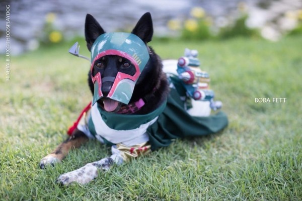 Немного отличного косплея Сан-Диего Comic-Con 2018 Немного отличного косплея Сан-Диего Comic-Con 2018