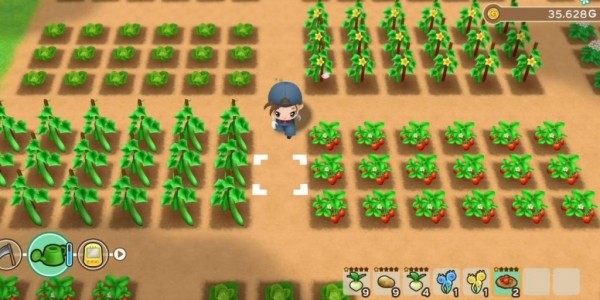 Лучшие видеоигры из серии Harvest Moon Лучшие видеоигры из серии Harvest Moon
