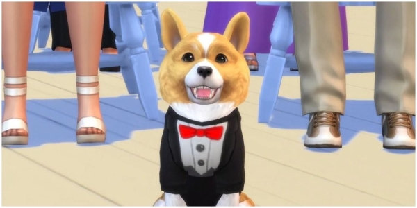 10 лучших животных-компаньонов в играх 10 лучших животных-компаньонов в играх