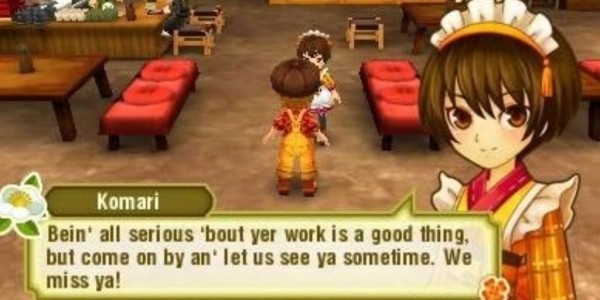 Лучшие видеоигры из серии Harvest Moon Лучшие видеоигры из серии Harvest Moon