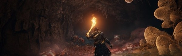 Покорите мир Elden Ring: гайд по Spirit Ashes Покорите мир Elden Ring: гайд по Spirit Ashes