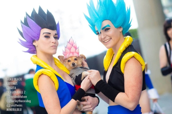 Лучший косплей с Anime Expo 2019 Лучший косплей с Anime Expo 2019