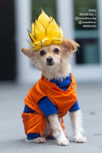 Лучший косплей с Anime Expo 2019 Лучший косплей с Anime Expo 2019