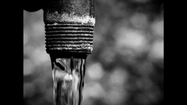 Epic Games отказалась выпускать скандальную инди-игру HORSES — всего за сутки до релиза Epic Games отказалась выпускать скандальную инди-игру HORSES — всего за сутки до релиза