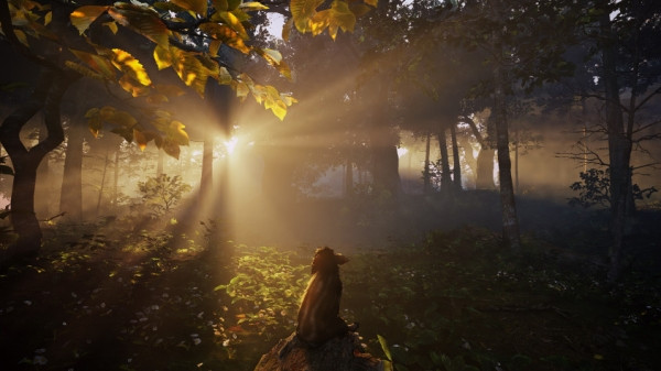 Умилительная адвенчура про кабанчика Бориса Adorable Adventures выйдет в этом году