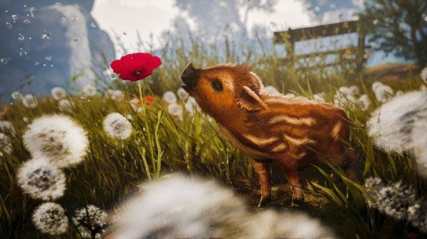 Умилительная адвенчура про кабанчика Бориса Adorable Adventures выйдет в этом году