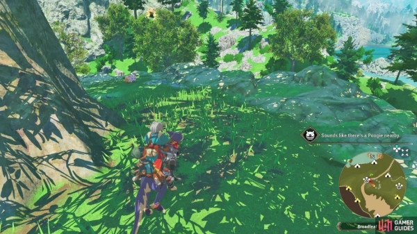 Где найти все Poogie в Canalta Timberland: полное руководство для охотников