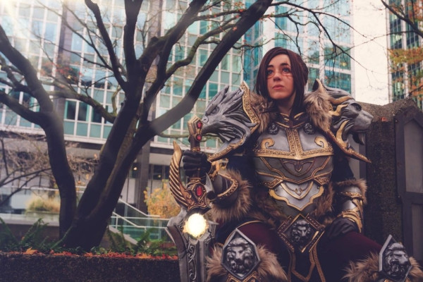 Лучший косплей Blizzcon 2016 Лучший косплей Blizzcon 2016