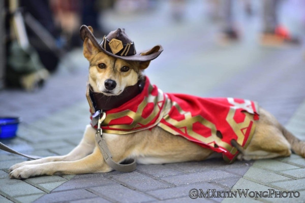 Лучший косплей Blizzcon 2016 Лучший косплей Blizzcon 2016