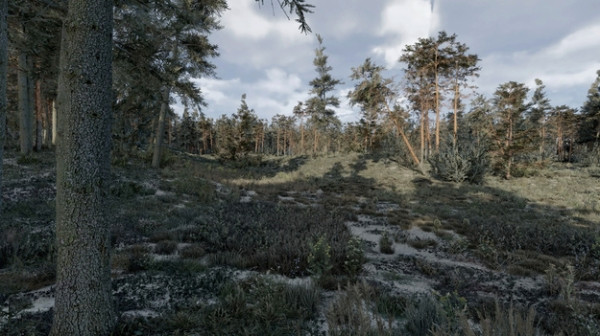 S.T.A.L.K.E.R. 2 новый чернобыльский лес показали