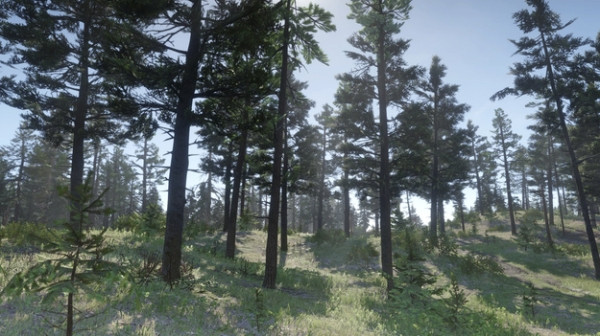 Red Dead Redemption 2 новую лесную чащу с новыми локациями показали