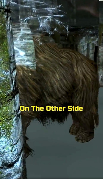 Skyrim новый секрет с животными в стенах показали Skyrim новый секрет с животными в стенах показали