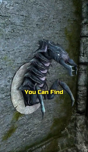 Skyrim новый секрет с животными в стенах показали Skyrim новый секрет с животными в стенах показали