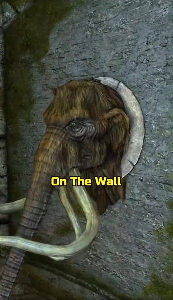 Skyrim новый секрет с животными в стенах показали Skyrim новый секрет с животными в стенах показали