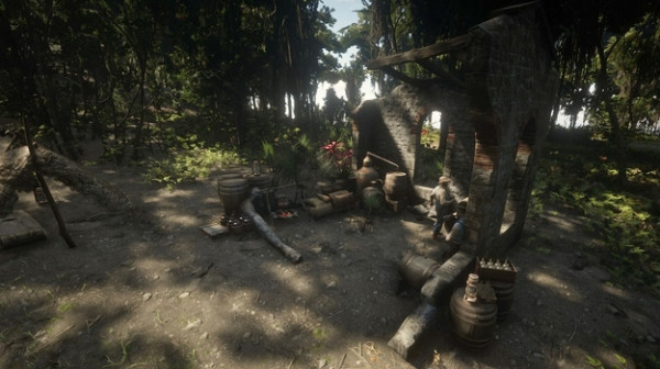 Red Dead Redemption 2 новые локации на Гуарме показали