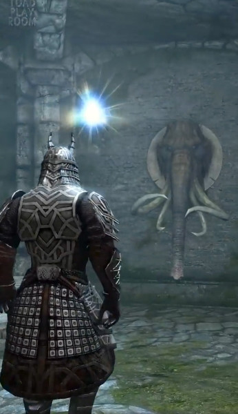 Skyrim новый секрет с животными в стенах показали Skyrim новый секрет с животными в стенах показали