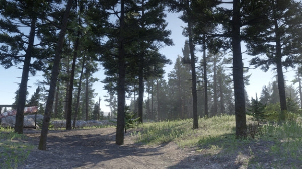 Red Dead Redemption 2 новую лесную чащу с новыми локациями показали