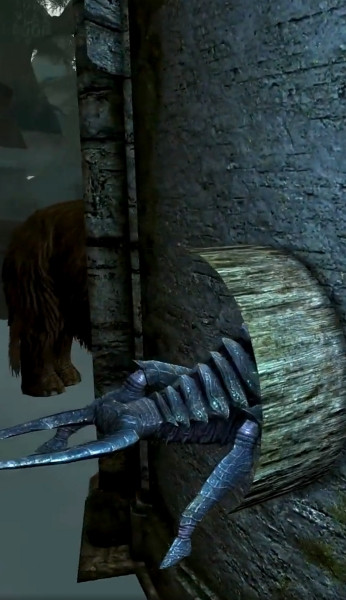Skyrim новый секрет с животными в стенах показали Skyrim новый секрет с животными в стенах показали