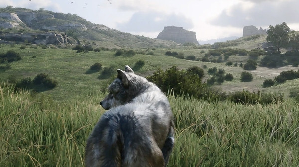 Red Dead Redemption 2 превращение главного героя в оборотня показали Red Dead Redemption 2 превращение главного героя в оборотня показали