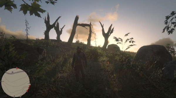 Red Dead Redemption 2 новую загадку с деревьями показали